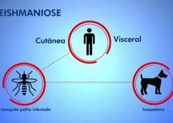 Semana de controle à leishmaniose traz alerta sobre doença