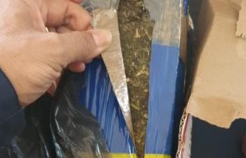 Polícia apreende mais de 13 quilos de maconha em ônibus