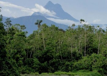 ICMBio determina reabertura de Unidades de Conservação Federais
