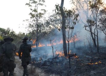 PF não aponta culpados por incêndios em Alter do Chão, no PA, e pede arquivamento de inquérito