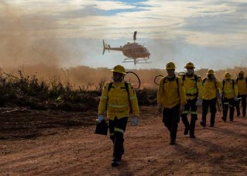 Operação Verde Brasil 2 apreende motosserras, munições e madeira ilegal em Novo Progresso
