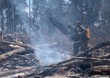 Militares do 51° BIS combatem focos de incêndios na região do Xingu