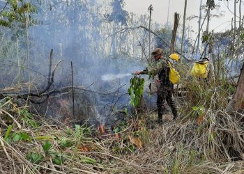 Exército combate focos de incêndio em Novo Progresso, no Pará