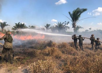 Militares combatem incêndio em área de mata no sudeste do Pará