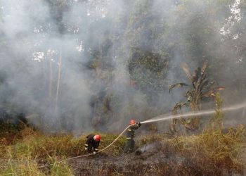 MPF abre procedimento para acompanhar atuação das instituições no combate a queimadas no Pará