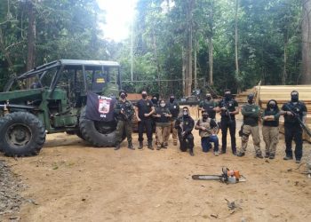 Operação integrada inutiliza máquinas e madeira em serraria clandestina em Mojuí dos Campos