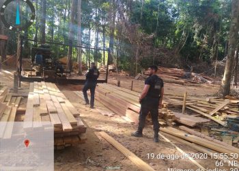 3ª fase da operação ‘Amazônia Viva’ embarga mais de 12 mil hectares em quatro municípios da região