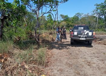Operação da Semma e Deca encontra infrações ambientais na APA Alter do Chão, no PA