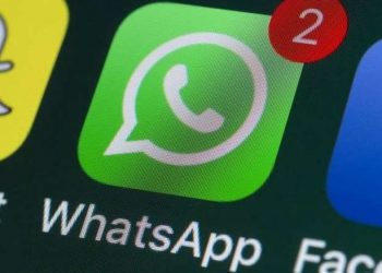 WhatsApp exclui 256 contas por disparo em massa relacionado à campanha eleitoral