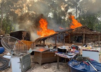 Operação Amazônia Viva fecha garimpo ilegal na região do Xingu