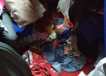 Criminosos assaltam micro-ônibus na Rodovia Transamazônica, próximo a Uruará/PA