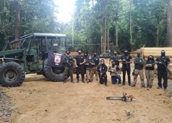 Seis serrarias clandestinas são destruídas na 4ª fase da operação Amazônia Viva