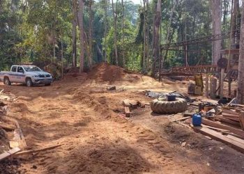 Polícia Ambiental fecha serraria clandestina em Santarém