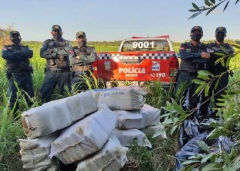 Polícia apreende quase 300 quilos de maconha em área de mata na região do Maicá, em Santarém