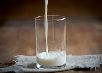 Mesmo com queda em outubro, preço do leite continua em alta no Pará