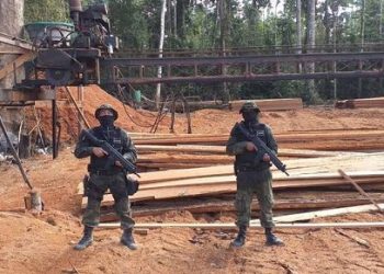 Polícia desmonta serraria clandestina na região do Chapadão, próximo a Santarém