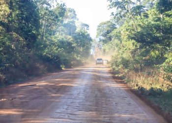 Autorizada construção e pavimentação da Rodovia Transuruará, na Região Xingu