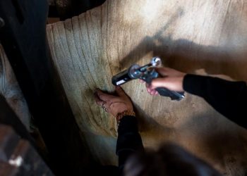 Campanha de vacinação contra a febre aftosa no Pará segue até o fim de novembro