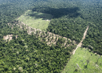 Funai planeja fazer expedição em área de indígenas isolados no Pará e MPF recomenda que seja suspensa imediatamente