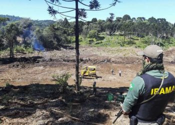AGU cobra mais de R$ 112 milhões de desmatadores de florestas no Pará