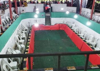 Polícia resgata 43 galos e 14 pessoas são detidas suspeitas de participar de rinha em Vigia, no Pará