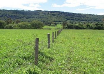 Senado aprova venda de terras para estrangeiros