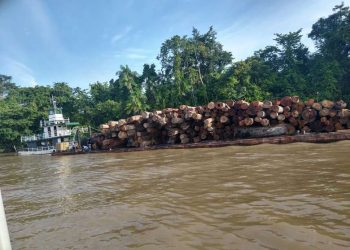 Polícia apreende barco com mais de 180 toras de madeira ilegal no rio Igarapé-Miri
