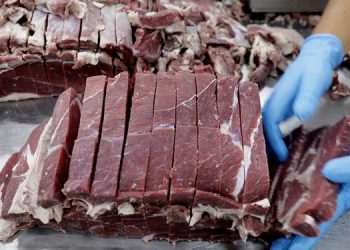 Carne bovina subiu 18% em 2020 no Pará; inflação no período foi de 5,45%