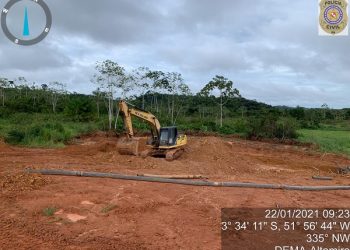 Operação conjunta da Polícia Civil e Ministério Público flagra crime ambiental em Senador José Porfírio, no Pará