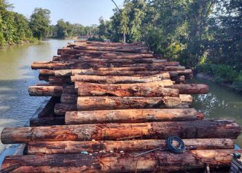 Embarcação é apreendida com 600 metros cúbicos de madeira