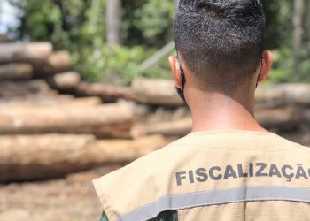 Semas apresenta avanços históricos na gestão ambiental do Pará em 2020