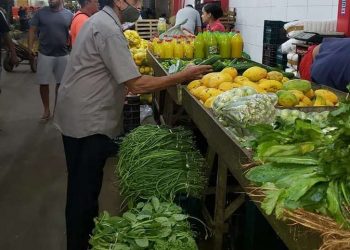Hortaliças, verduras e legumes têm alta de preço e superam inflação, aponta pesquisa