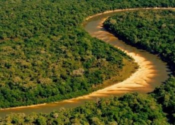 Ibama e Funai publicam instrução normativa que prevê produção agrícola em terras indígenas