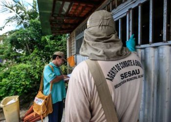 Pará reduz em mais de 80% número de casos de dengue