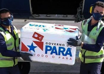 Oeste paraense recebe 7,8 mil doses da vacina contra a covid-19