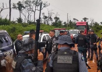 Policiais do Pará e do Mato Grosso recuperam cabeças de gado roubadas na divisa dos Estados