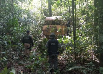 Pará reduz 90% do desmatamento no mês de janeiro em relação a mesmo período em 2020