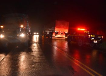 PRF e Exército fiscalizam transporte de madeira na BR-230