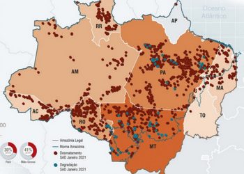 Altamira é a cidade da Amazônia Legal que mais desmatou em janeiro de 2021, aponta Imazon