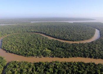 Pará vai sediar Fórum Mundial de Bioeconomia pela primeira vez em outubro