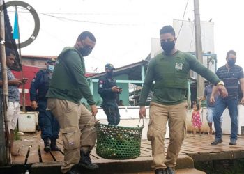 Quase 800 kg de pescado são apreendidos em unidade de conservação em Tucuruí