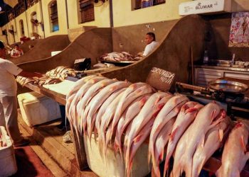 Com alta de até 73%, consumidor deve pagar mais caro por peixe na Semana Santa
