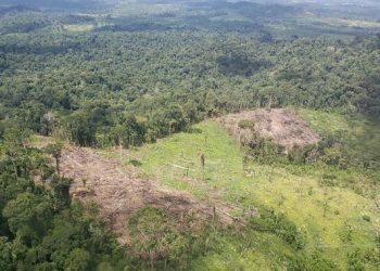 Comando Conjunto Norte identifica crime ambiental na região da Transamazônica, em sobrevoo