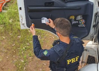 PRF apreende 27 comprimidos de anfetamina em Altamira/PA