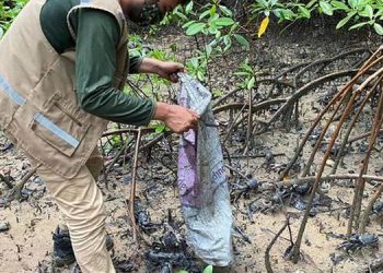 Terceiro período de defeso do caranguejo-uçá termina nesta sexta-feira (5)