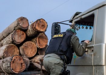 Ibama suspende emissão de DOF partir de hoje no PA e MT