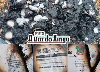 EXCLUSIVO: Documentos, pertencentes a prefeitura de Altamira, são encontrados queimados
