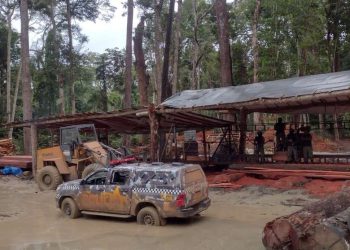 Polícia desmonta serraria clandestina na região do Chapadão, próximo a Santarém