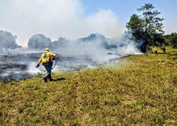 Ministério decreta situação de emergência ambiental prévia no país; Pará está incluso