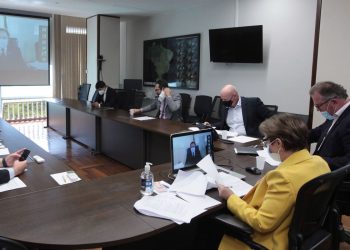 No Senado, ministra fala em regularizar 130 mil terras em 2021